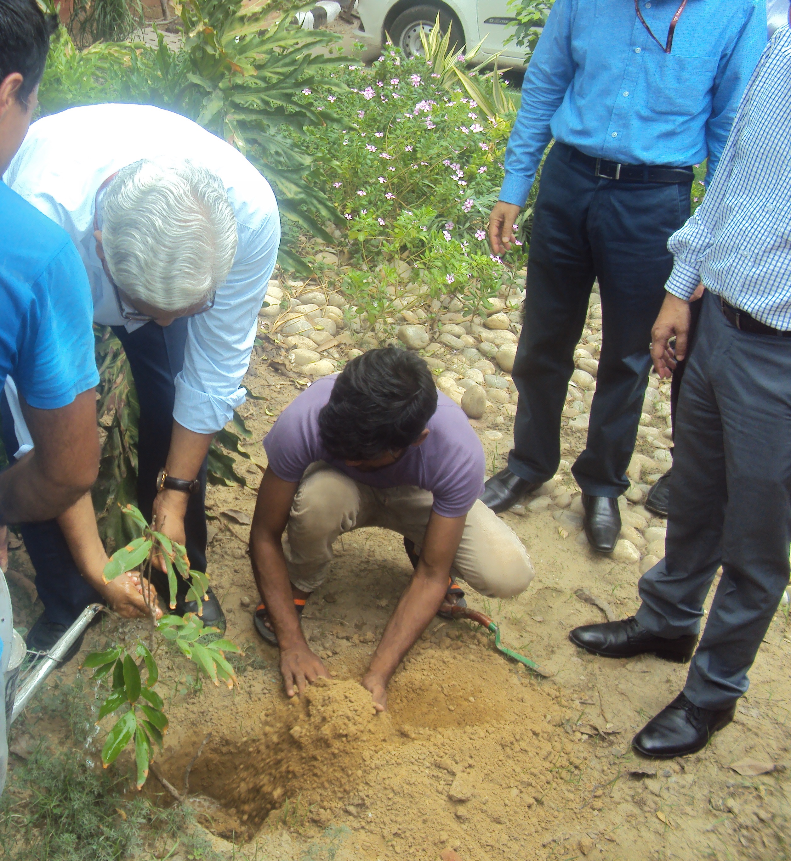 Swachhta Pakhwada