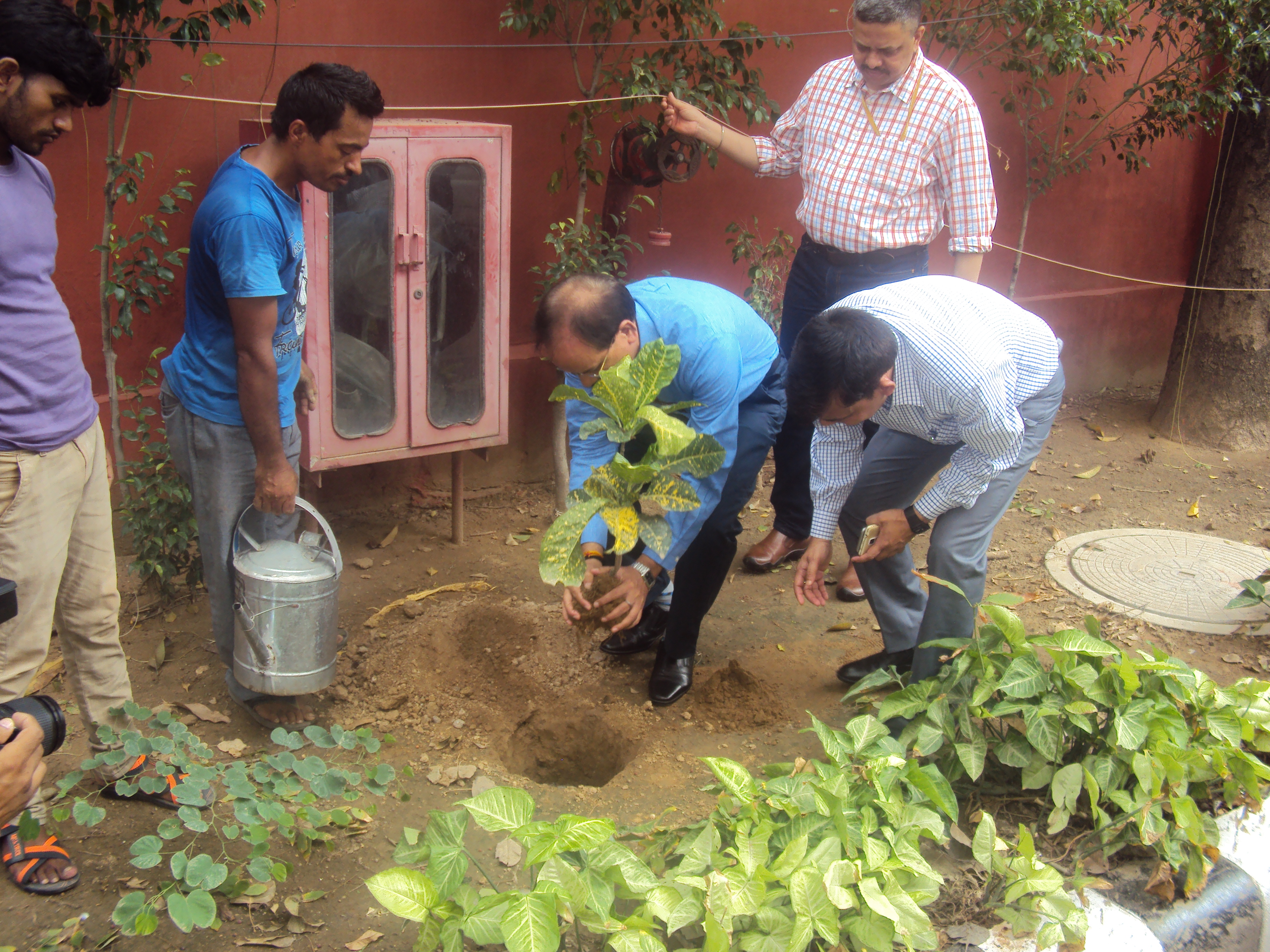 Swachhta Pakhwada